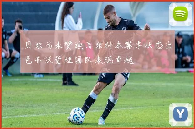 贝尔戈米赞迪马尔科本赛季状态出色齐沃管理团队表现卓越