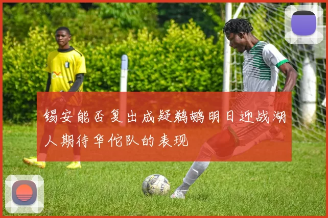 锡安能否复出成疑鹈鹕明日迎战湖人期待华佗队的表现
